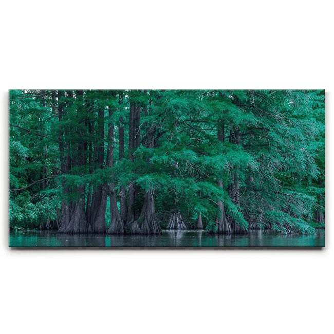 Featured image 1 for Forest Reflection