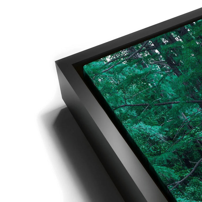 Featured image 11 for Forest Reflection