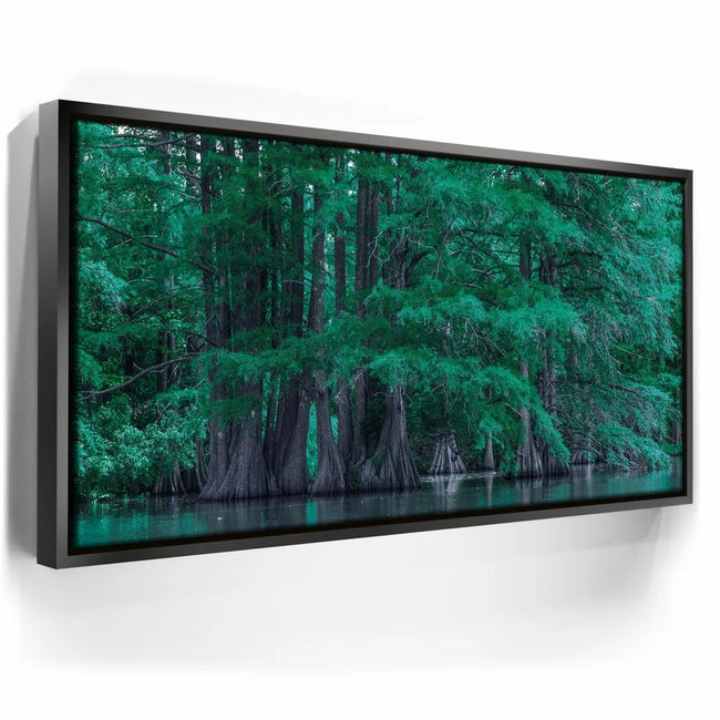 Featured image 5 for Forest Reflection