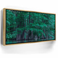 Featured image 7 for Forest Reflection