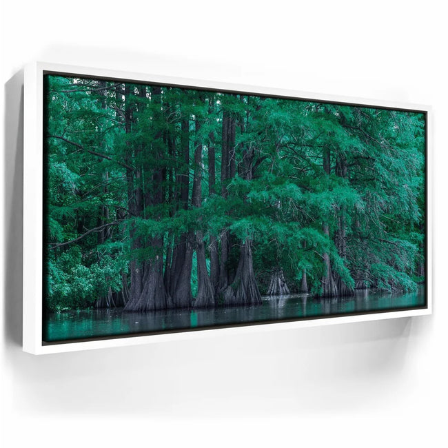 Featured image 6 for Forest Reflection