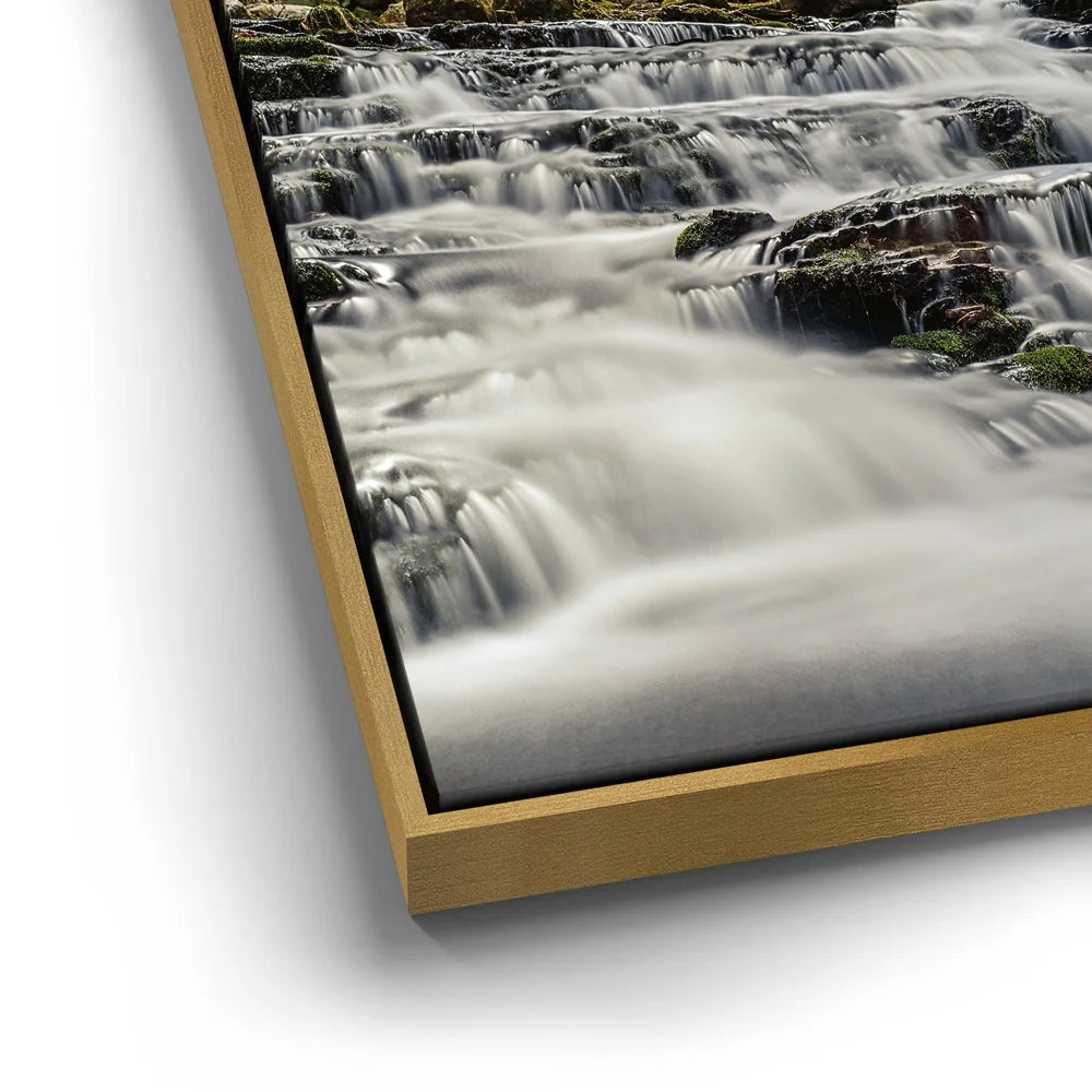 Featured image 12 for Forest Veil Falls