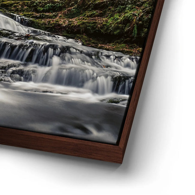 Featured image 14 for Forest Veil Falls