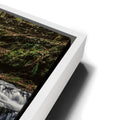 Thumbnail image 13 for Forest Veil Falls