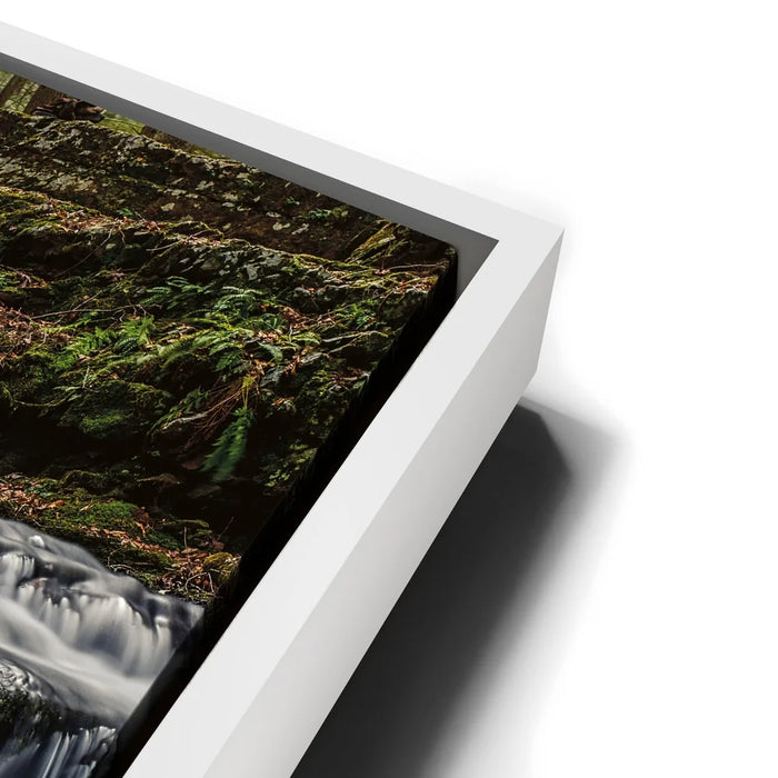 Featured image 13 for Forest Veil Falls