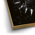Thumbnail image 12 for FOREVER! - Black & White