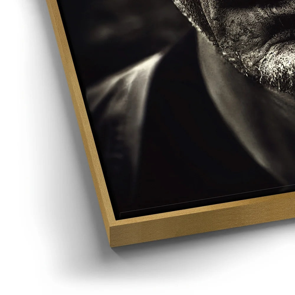 Featured image 12 for Forgotten