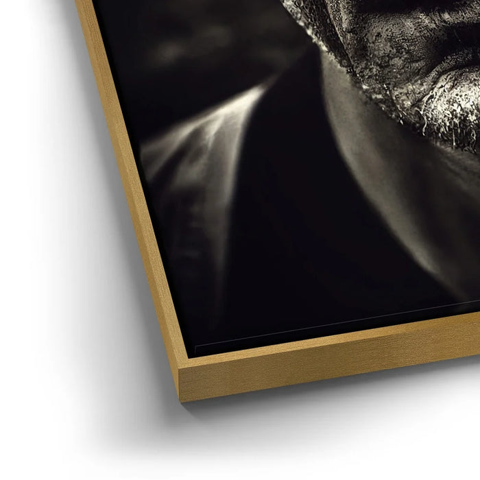 Featured image 12 for Forgotten