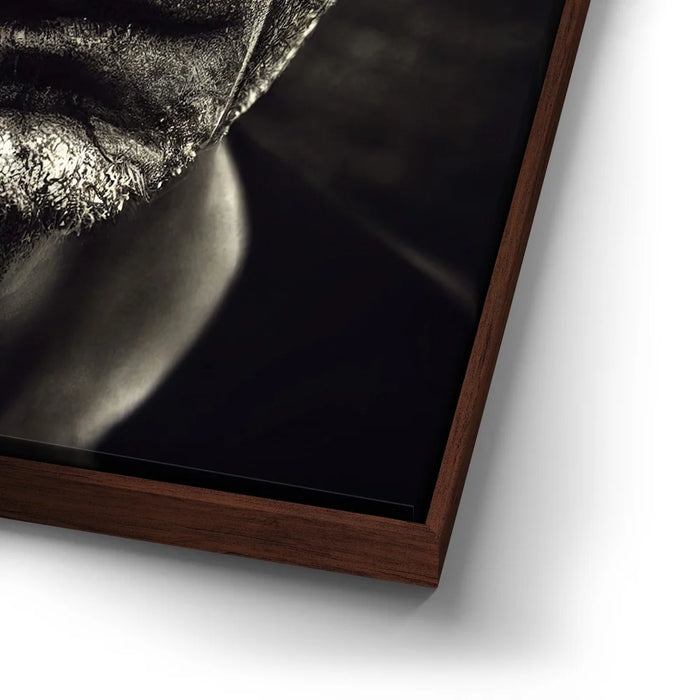 Featured image 14 for Forgotten