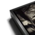 Thumbnail image 11 for Forgotten