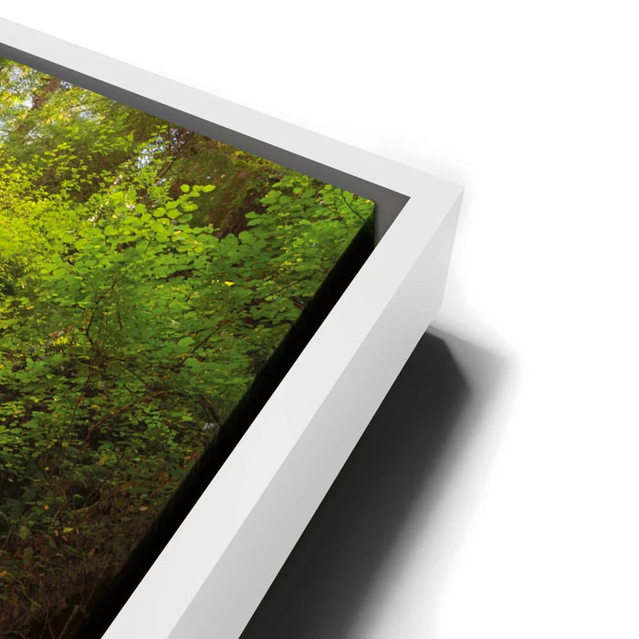 Featured image 13 for Fort Bragg Falls