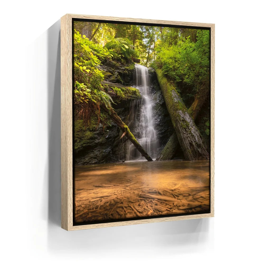 Featured image 9 for Fort Bragg Falls