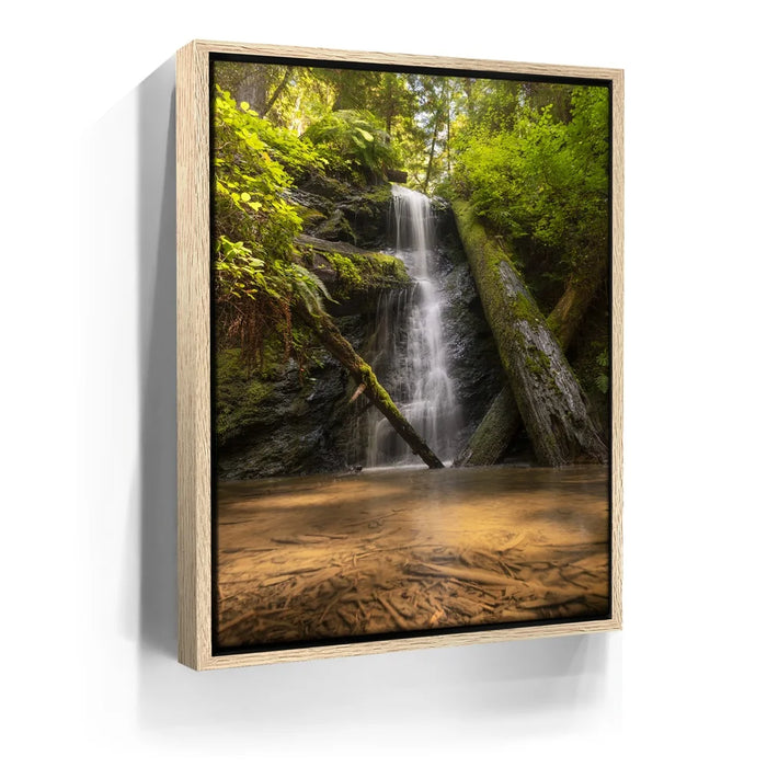 Featured image 9 for Fort Bragg Falls