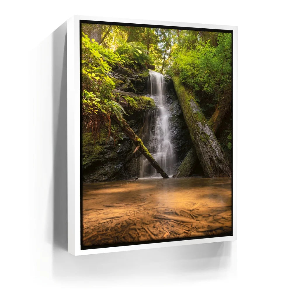 Featured image 6 for Fort Bragg Falls