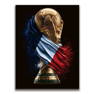 France, Draped in Destiny - Football