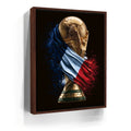 Featured image 11 for France, Draped in Destiny - Football