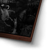 Thumbnail image 14 for Freeedomm! - Black & White