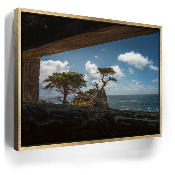 Featured image 7 for From Beyond the Frame