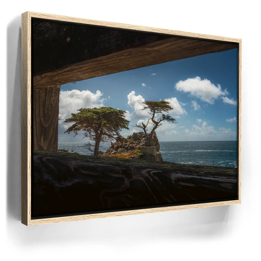 Featured image 9 for From Beyond the Frame