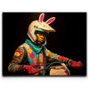 Featured image 1 for Full Tilt Bunny