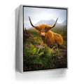 Featured image 8 for Funny Scottish Highlands Cow
