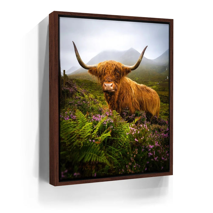 Featured image 10 for Funny Scottish Highlands Cow