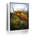 Featured image 6 for Funny Scottish Highlands Cow