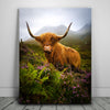 Featured image 1 for Funny Scottish Highlands Cow
