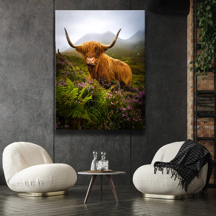 Featured image 2 for Funny Scottish Highlands Cow