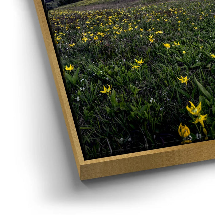 Featured image 12 for Galactic Alpenglow