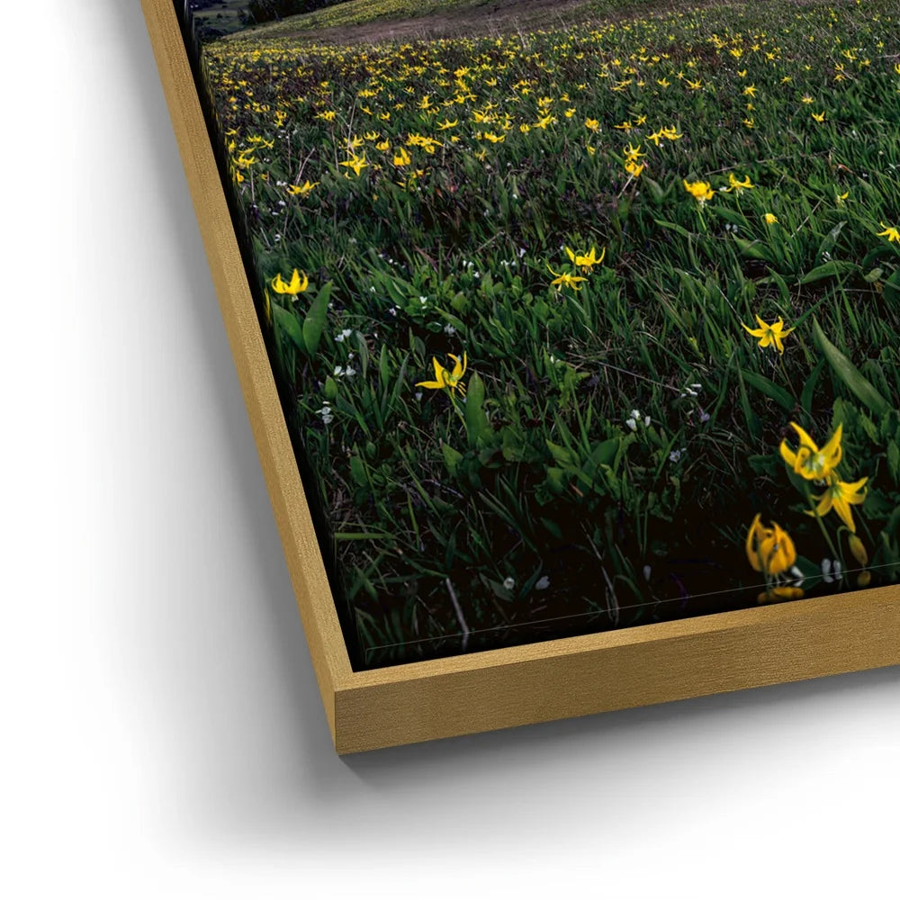 Featured image 12 for Galactic Alpenglow