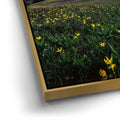 Thumbnail image 12 for Galactic Alpenglow