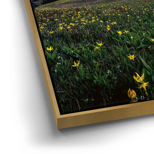Featured image 12 for Galactic Alpenglow