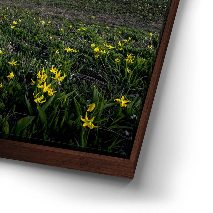 Featured image 14 for Galactic Alpenglow