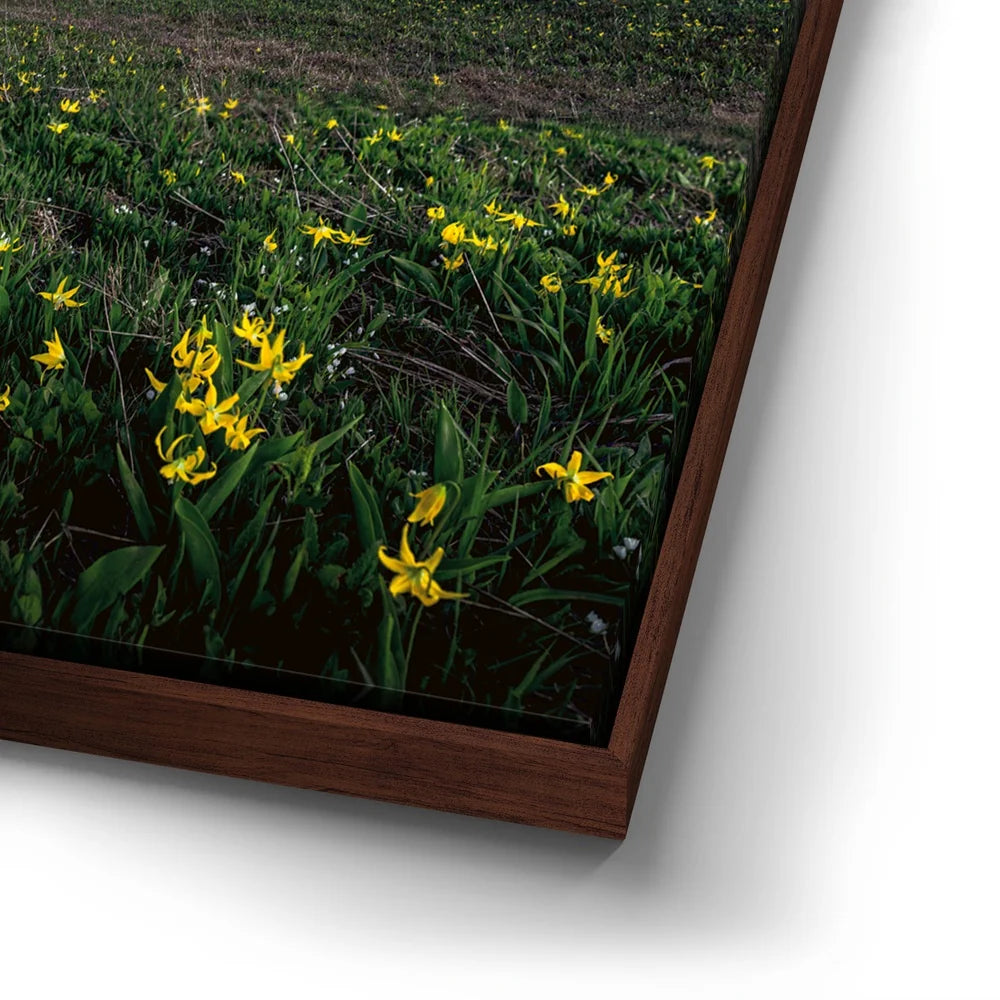 Featured image 14 for Galactic Alpenglow