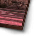 Thumbnail image 14 for Galactic Light