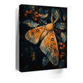 Thumbnail image 3 for Garden Tiger Moth of the Hidden Woods