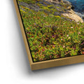 Thumbnail image 13 for Garrapata Coastal Light
