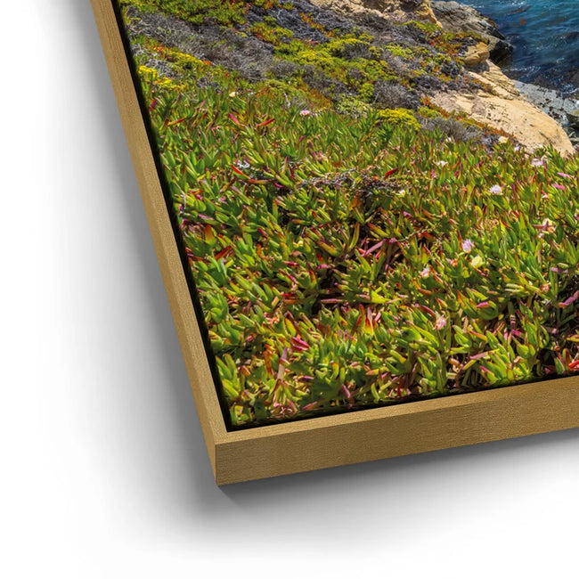 Featured image 13 for Garrapata Coastal Light