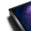 Thumbnail image 11 for Geronimo