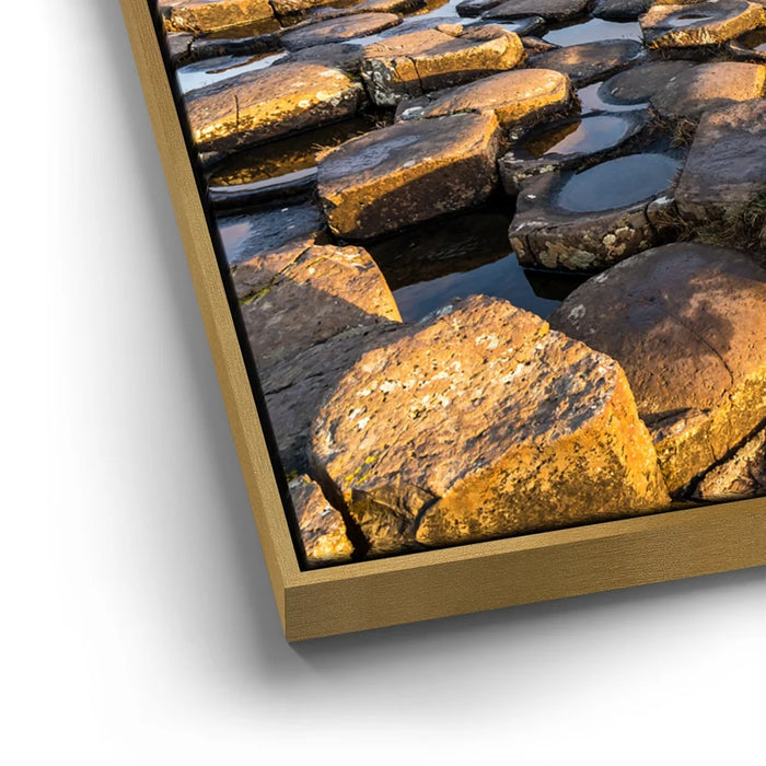 Featured image 12 for Giant