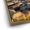 Thumbnail image 12 for Giant