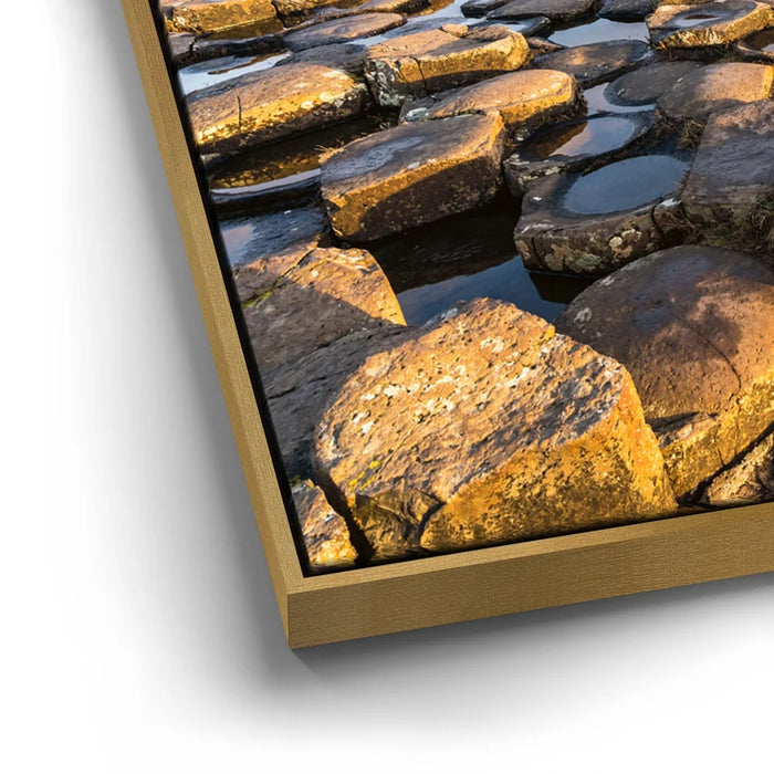 Featured image 12 for Giant