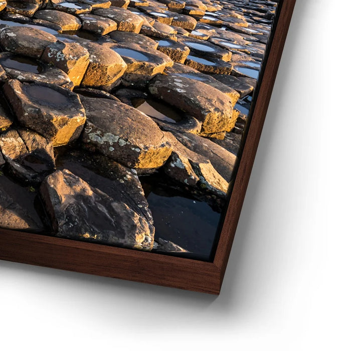 Featured image 14 for Giant