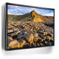 Featured image 5 for Giant