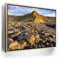 Featured image 9 for Giant