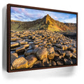 Featured image 10 for Giant
