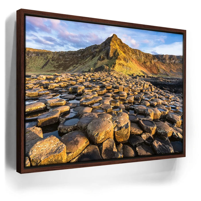 Featured image 10 for Giant