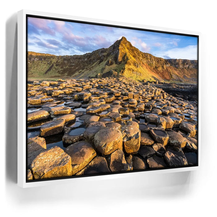 Featured image 6 for Giant