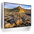 Featured image 6 for Giant